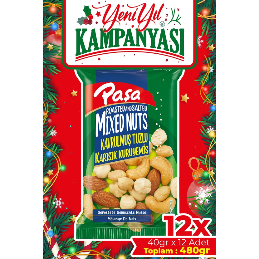 مخلوط آجیل شور پاشا 480 گرم (12×40 گرم)