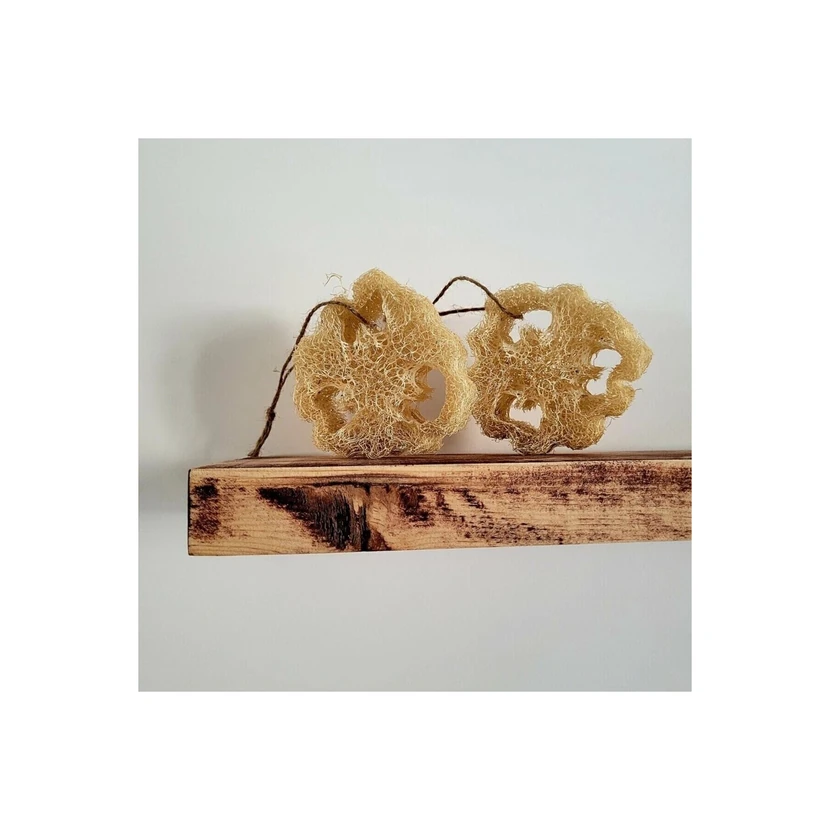 اسفنج ظرفشویی طبیعی کاباک 2 عددی گوئینگ زیرو