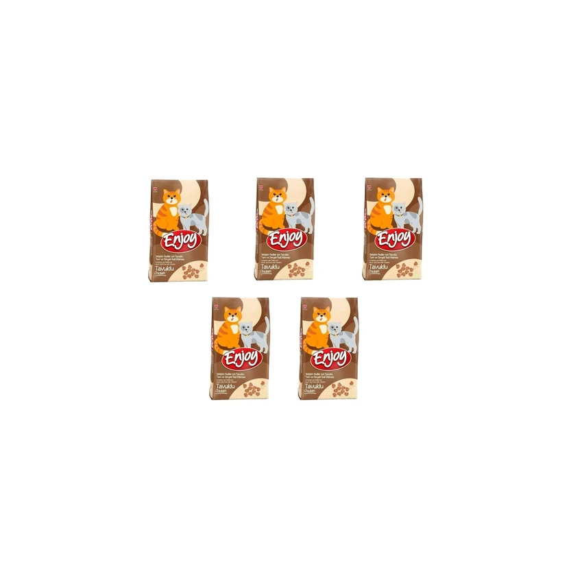 غذای خشک گربه بالغ انجوی مرغ بسته 5 عددی 1 کیلوگرم