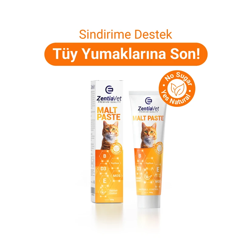 خمیر مالت گربه زن‌تیاوت 100 گرم پیشگیری از گلوله مویی
