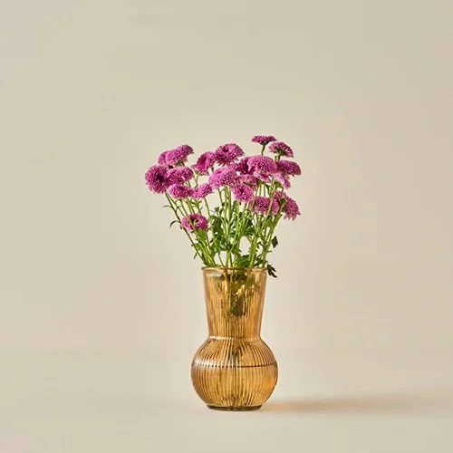 گلدان شیشه ای بلامزون اوا کهربا